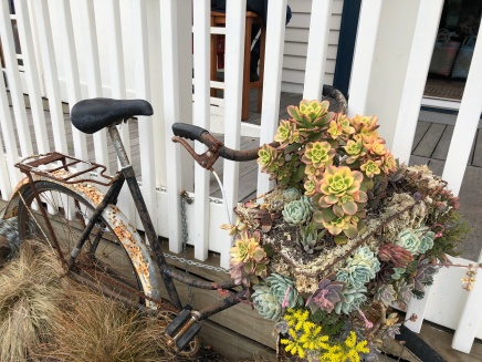 An eclectic bicycle basket planted with succulents graces the front porch of a Russell, New Zealand home