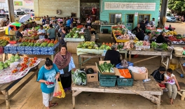 The Neiafu Market in Va'Vau offers a cornucopia of fresh fruits and vegetables