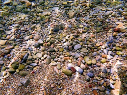 This is not an image of a beach. My camera is underwater pointed at a mosaic of pebbles on the bottom, six feet below the surface. The water clarity is otherworldly.
